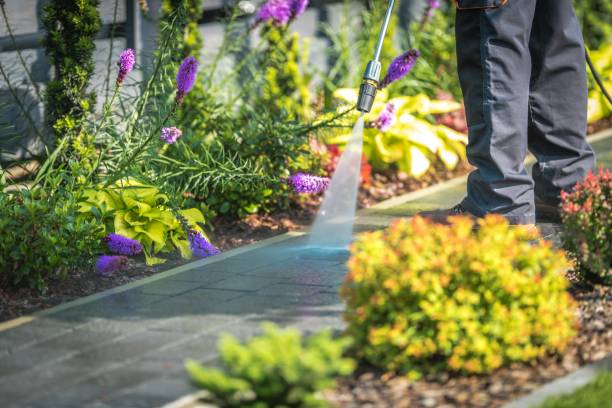 Best House Exterior Washing  in Mansfield, OH